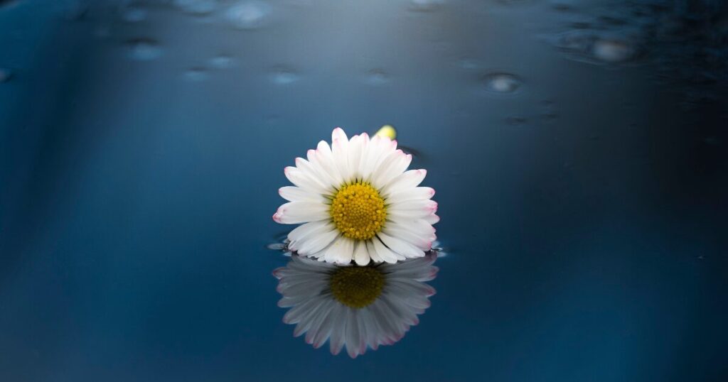 公認されない悲嘆