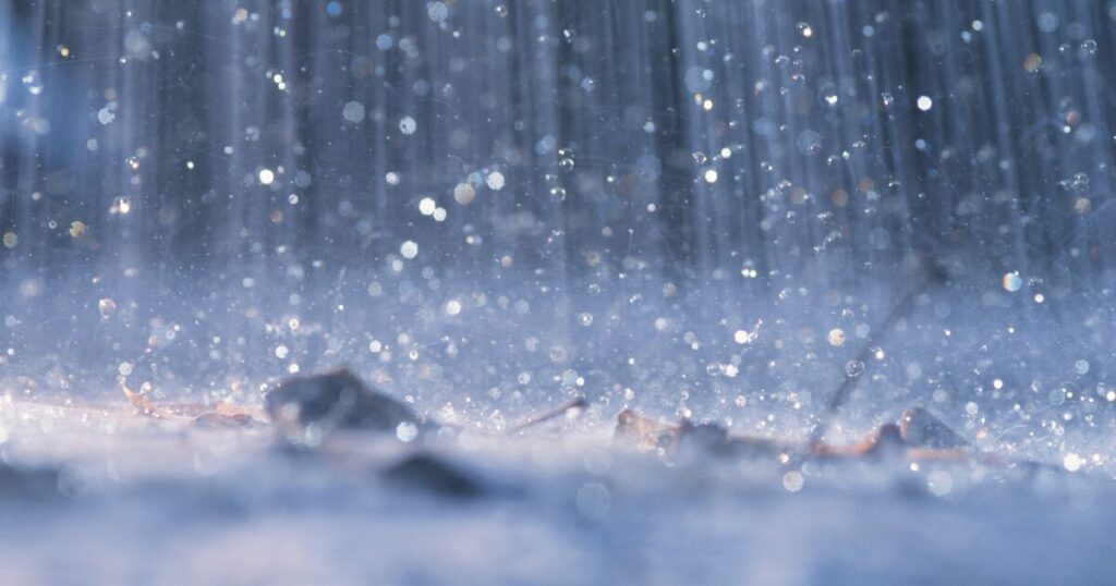 なぜ今グリーフケアなのか